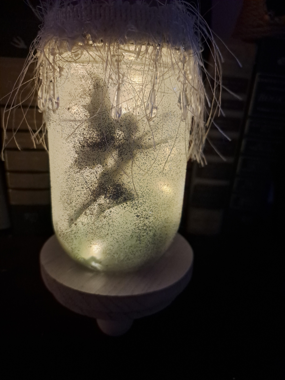 Handcrafted Fairylight With Frosted Glass Lantern with Feather Trim